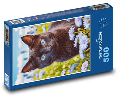 Zdjęcie produktu dla martinpuzzle - Puzzle 500 - Czarna kotka