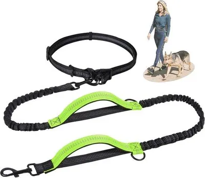 Produktbild von Famanu Joggingleine für mittelgroße und große Hunde - elastisch, reflektierend, mit doppeltem Handgriff