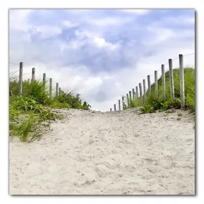 Produktbild von Wallario selbstklebende Möbelfolie/ Tischdecke für Innen und Außen, Größe: 70 x 70 cm - Auf dem Weg zum Strand durch Dünen