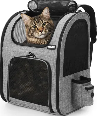 Produktbild von Pecute Katzenrucksack Große Katzen und Hunderucksack XL 6-10kg - Grau