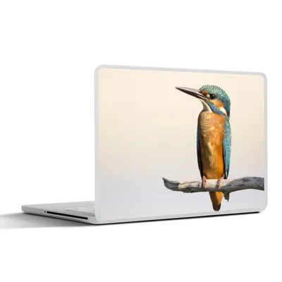 Produktbild von MuchoWow® Laptop Aufkleber Sticker Cover Eisvogel - Zweige - Tiere 30x21 cm - Sticker für Laptop - Selbstklebend