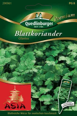 Produktbild von Blattkoriander, Cilantro