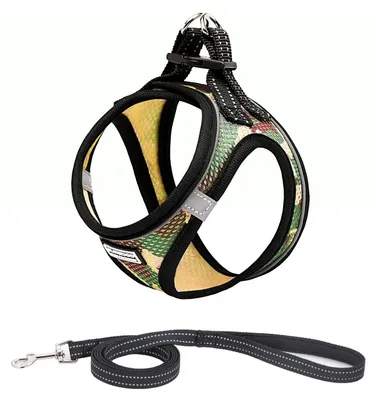Immagine prodotto di Omgoods - Set di guinzaglio e collare per cani, ideale per l'addestramento e le passeggiate
