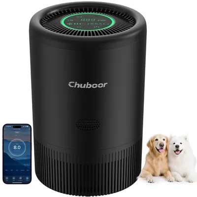 Image de Purificateur d'air - PJ08 avec filtre HEPA H13 - Contrôle via application Wi-Fi - Capteur PM2,5 - Fonctionnement silencieux ≤25 dB - CADR 185 m³/h - Convient pour les pièces de 40 à 60 m² - Noir