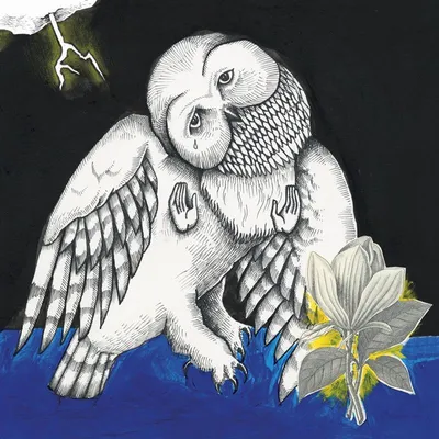 Obrázok produktu pre Magnolia Electric Co. (10th Anniversary Deluxe Ed)