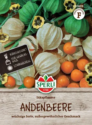 Artikelbild 2 von 'Andenbeere (Kapstachelbeere, Inkapflaume)' aus der Kategorie Andenbeerensamen
