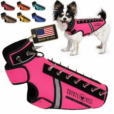 Obrázok produktu pre CoyoteVest SpikeVest: Postroj/vesta pre psov, vhodná pre malé plemená, s reflexnými prvkami