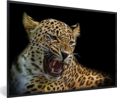 Produktbild von MuchoWow® MuchoWow® Gerahmtes Poster Leopard - Tiere - Schwarz 90x60 cm - Poster mit zchwarzem Bilderrahmen - Fotorahmen - Foto-Plakat