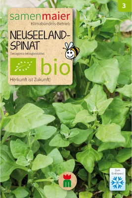 Produktbild von Neuseelandspinat - Saatgut für zirka 10 Pflanzen