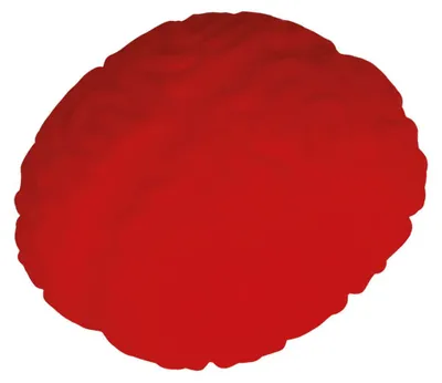 Produktbild von Gehirn Stressball 8cm