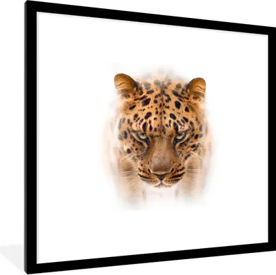 Produktbild von MuchoWow® Gerahmtes Poster Panther - Porträt - Weiß 40x40 cm - Poster mit Schwarzem Bilderrahmen Wandposter Rahmen Foto Bilder - Poster - Plakat im Rahmen