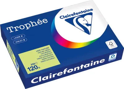 Produktbild von Clairefontaine Kopierpapier 1228PC A4 120g naturgrün 250Bl