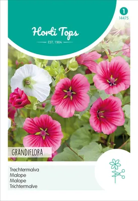 Produktbild von Trichtermalve Grandiflora Mischung | Malvensamen von Hortitops