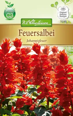 Produktbild von Feuersalbei Johannisfeuer | Salbeisamen von N.L. Chrestensen