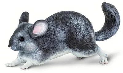 Produktbild von Safari Ltd Chinchilla Figur Grau From 3 Years Kinder Grau From 3 Years
