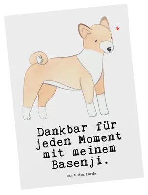 Produktbild von Mr. & Mrs. Panda Postkarte Basenji Moment - Weiß - Geschenk, Grußkarte, Fotokarte, Ansichtskarten, Kongo-Terrier, Ansichtskarte, Postkarten