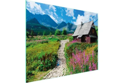 Produktbild von Glasschneidebrett 52x40 cm mit rutschfester Unterseite