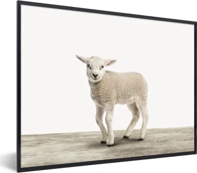 Produktbild von MuchoWow® Gerahmtes Poster Lamm - Schaf - Tiere - Kinder - Mädchen - Jungen 40x30 cm - Poster mit Schwarzem Bilderrahmen Wandposter Rahmen Foto Bilder - Kunstposter - Wanddekorationen