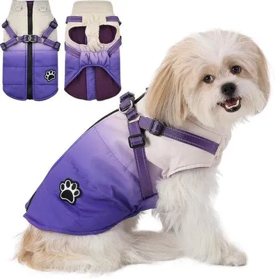 Produktbild von Famanu Hundejacke Warm für kleine und mittelgroße Hunde - Lila