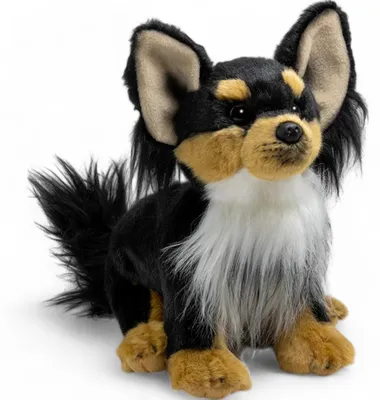 Immagine prodotto di Carl Dick Chihuahua seduto nero-marrone circa 24 cm peluche, peluche, peluche 3602