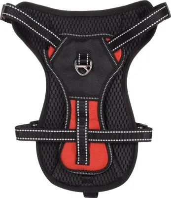 Produktbild von Flamingo Geschirr Kelso ROT M 34-50CM 20MM