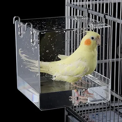 Produktbild von PolkaHome® Hängendes Vogelbad Kubus – Transparente Acryl-Vogelbadschale für kleine Vögel (13x13x11 cm)