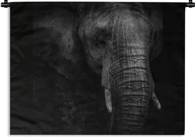 Produktbild von MuchoWow® Wandteppich Wandbehang Elefant auf schwarzem Hintergrund in schwarz und weiß 60x45 cm Tapisserie Dekoration Wandtuch - Das Schlafzimmer