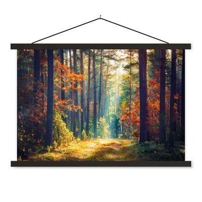 Produktbild von MuchoWow® Textilposter Wald - Sonne - Natur - Herbst 150x100 cm mit schwarzem Rahmen - Schlafzimmer