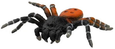 Produktbild von Bullyland 68458 - Spielfigur Röhrenspinne, ca. 6,3 cm große Tierfigur, detailgetreu, PVC-frei, ideal als kleines Geschenk für Kinder ab 3 Jahren