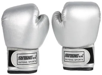 Productafbeelding van Bokshandschoenen – Set bokshandschoenen voor kickboksen en boksen – Unisex, voor kinderen en volwassenen – Zilver