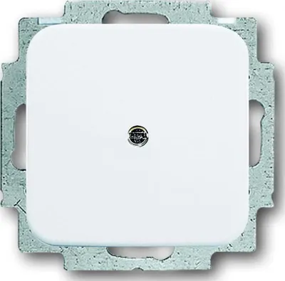 Produktbild von Busch-Jaeger Blindzentralscheibe aws 2538-214 2CKA001715A0275