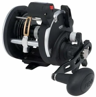 A black fishing reel with silver and gold accents, shown from a side angle against a white background.