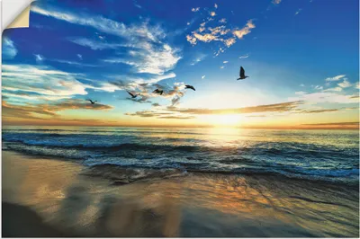 Produktbild von ARTland Wandbild, selbstklebend Strand Möwen Meer Sonnenuntergang Größe: 90x60 cm