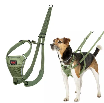 Produktbild von Halti Erziehungsgeschirr No Pull Harness Forest Green, Größe: S