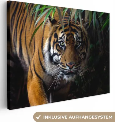 Produktbild von MuchoWow® - Leinwandbilder - Tiger - Blätter - Dschungel - Tiere - Wild, Wandbild, Wanddeko Bilder Wohnzimmer, 40x30cm