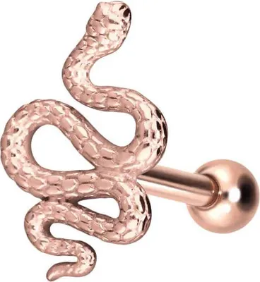 Produktbild von Ohrpiercing Chirurgenstahl Ohrpiercing SCHLANGE