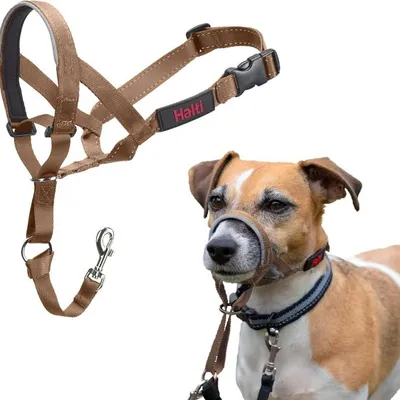 Produktbild von Halti Kopfgeschirr/Headcollar sand, Größe: 4