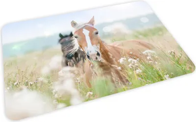 Produktbild von stabiles Vinyl Tischset Pferde Kinder Platzset abwaschbar