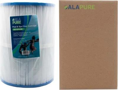 A pool and spa filter cartridge is shown next to a cardboard box.