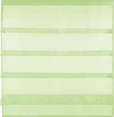 Produktbild von Gardine Raffoptik mit Stangendurchzug, Größe: 100x110cm, Farbe: Grün