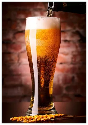Produktbild von Wallario Premium Glasbild, freischwebende Optik, kräftige Farben, Größe 100 x 70 cm Motiv Frisches Pils