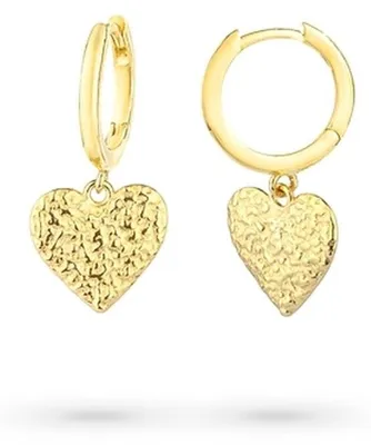 Image de Radiant Femmeohrringe RY000107