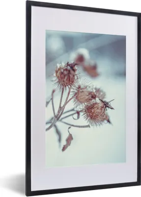 Produktbild von MuchoWow® Gerahmtes Poster Pflanzen - Winter - Schnee - Natur 40x60 cm - Poster mit Schwarzem Bilderrahmen Wandposter Rahmen Foto Bilder - Poster in Rahmen