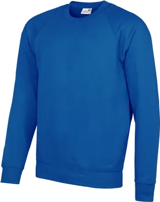 Image de AWDis Academy Sweat-shirt ras du cou pour homme RW3916 (XL) (Bleu roi)