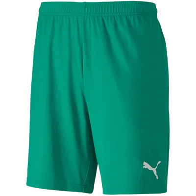 Produktbild von PUMA teamGOAL 23 Knit Shorts pepper green L
