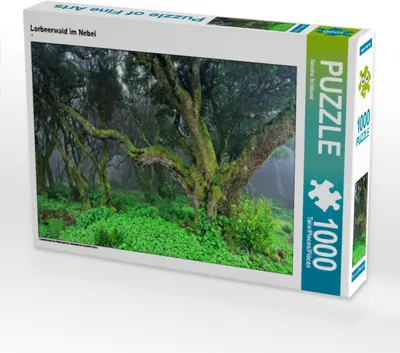 Produktbild von CALVENDO Puzzle Lorbeerwald im Nebel 1000 Teile Puzzle quer | 1000 Teile Lege-Größe 64x48cm Foto-Puzzle für glückliche Stunden
