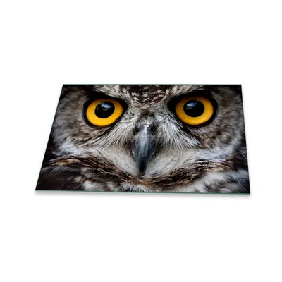 Produktbild von Herdabdeckplatte Glaskeramik 1 Teilig 80x52 Tiere Grau Abdeckung Glas Spritzschutz