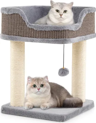 Image de Petit arbre à chat COSTWAY, arbre à chat avec grand siège en peluche, balle & griffoirs en sisal, meuble pour chats Arbre à grimper Arbre de jeu Tour pour chats, 38x38x51cm Gris