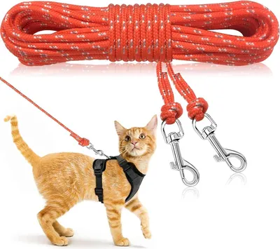 Image de Laisse longue réfléchissante pour chats 4.5M Laisse d'extension longue durée Noir