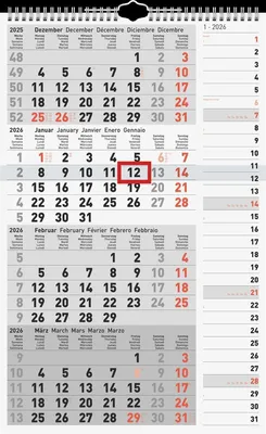 Produktbild von rido/idé 7033430006 | 4-Monatskalender 2026 | grau, 300×490